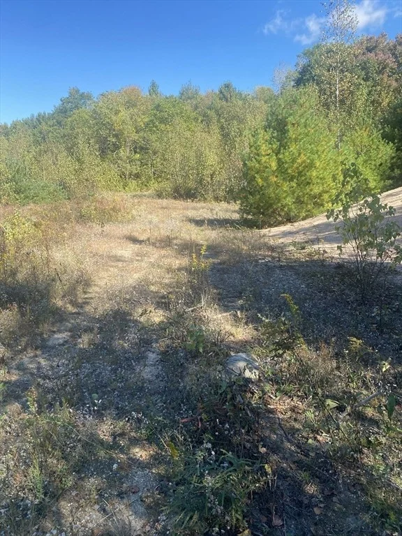 Photo of 87-12 State St