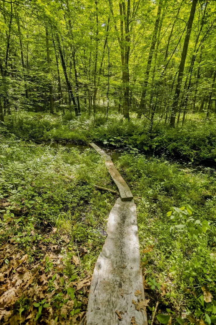 Photo of Lot 4 Mountain Rd