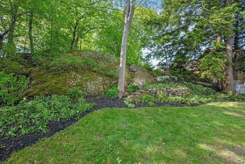 Photo of 77 Shelton Road