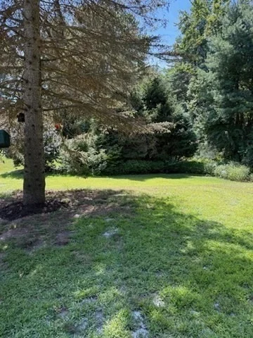 Photo of 5 Douglas Drive