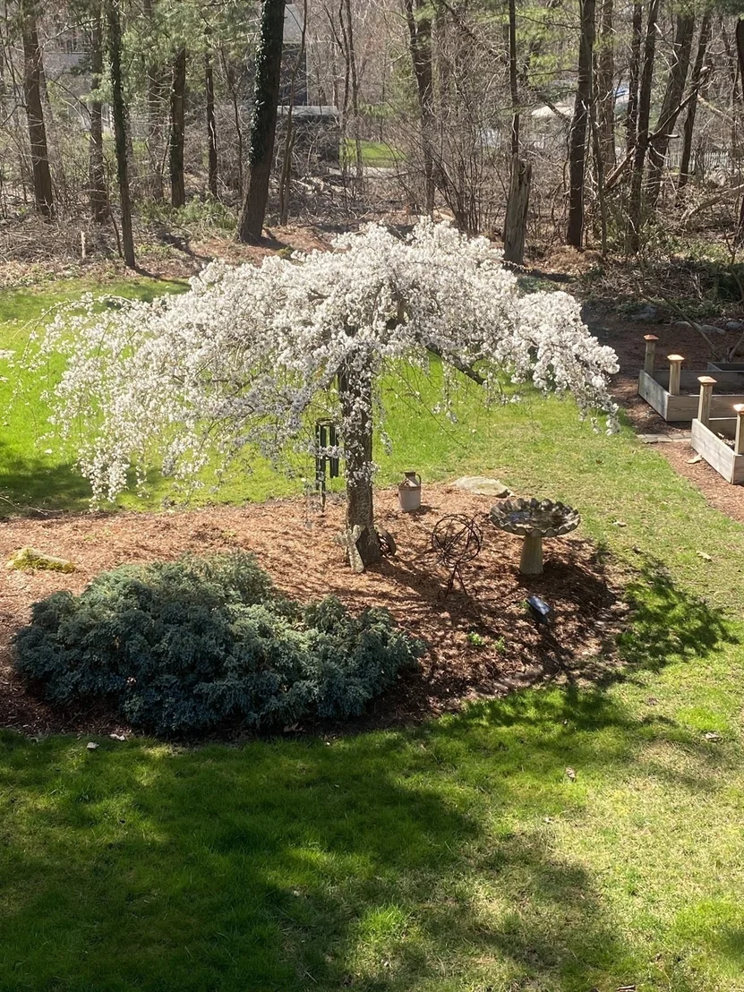 Photo of 42 Freeport Dr