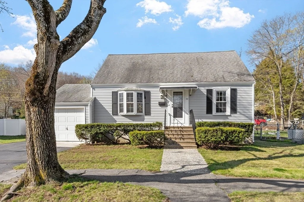 Photo of 44 Dexter Street