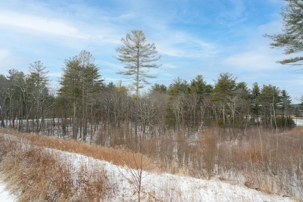 Photo of 237 Woodland Way