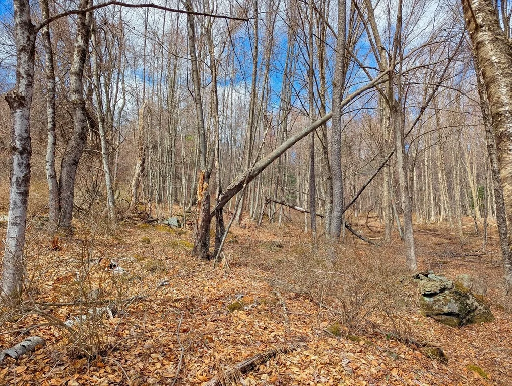 Photo of Lot 33.03 William Holmes Rd