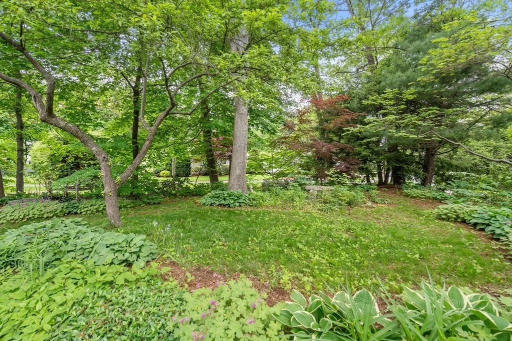 Photo of 40 Upson Rd