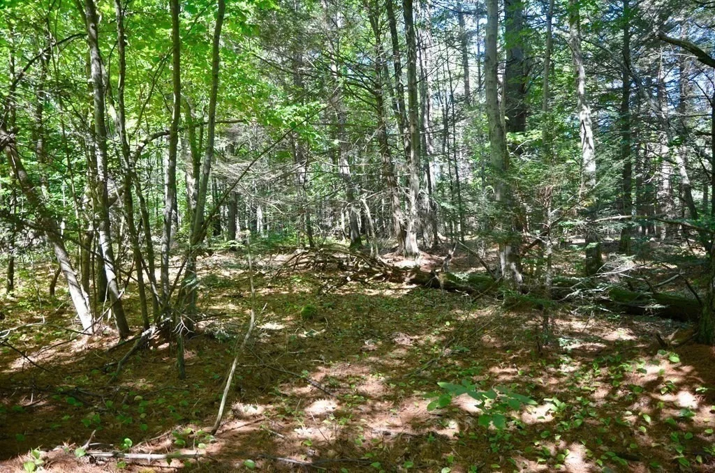 Photo of 154 Lafayette Rd