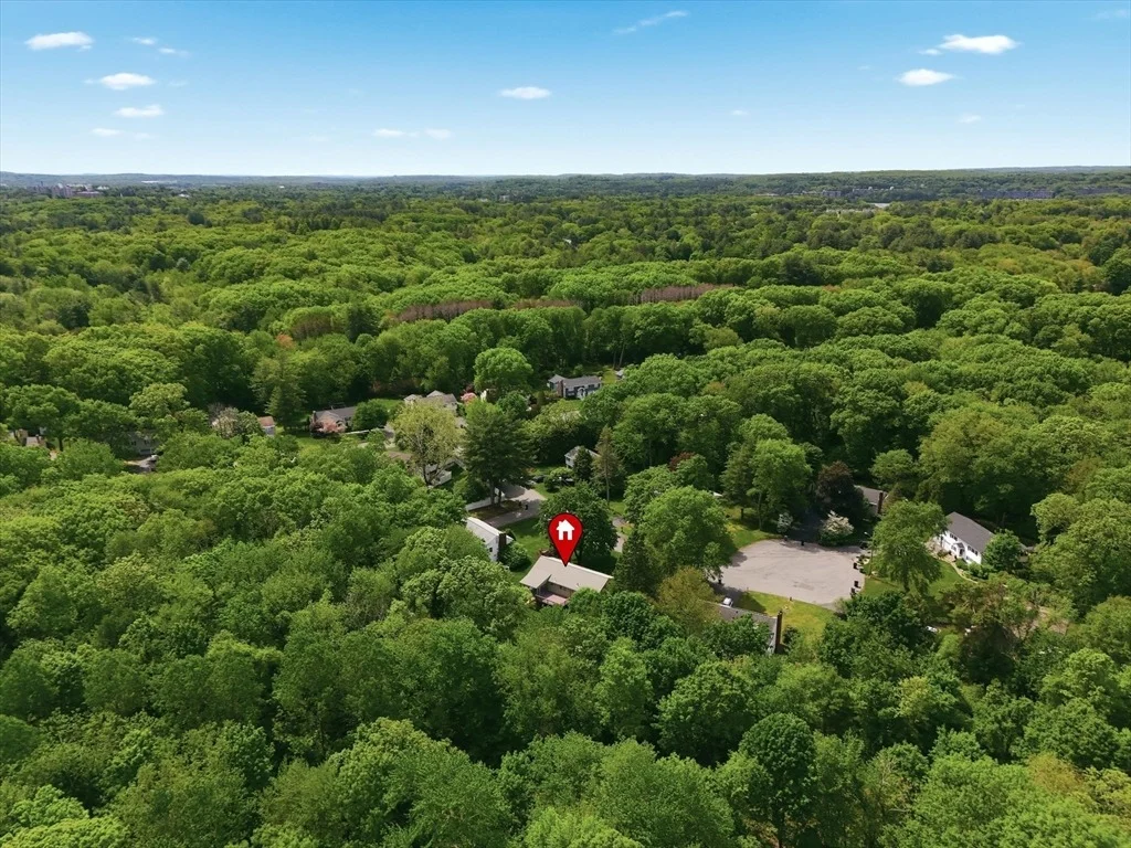 Photo of 7 Blueberry Circle