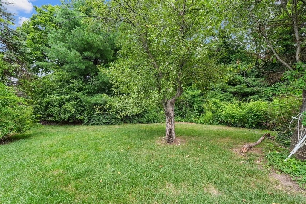 Photo of 32 Prior Drive