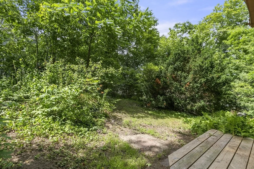 Photo of 31 Walnut Street