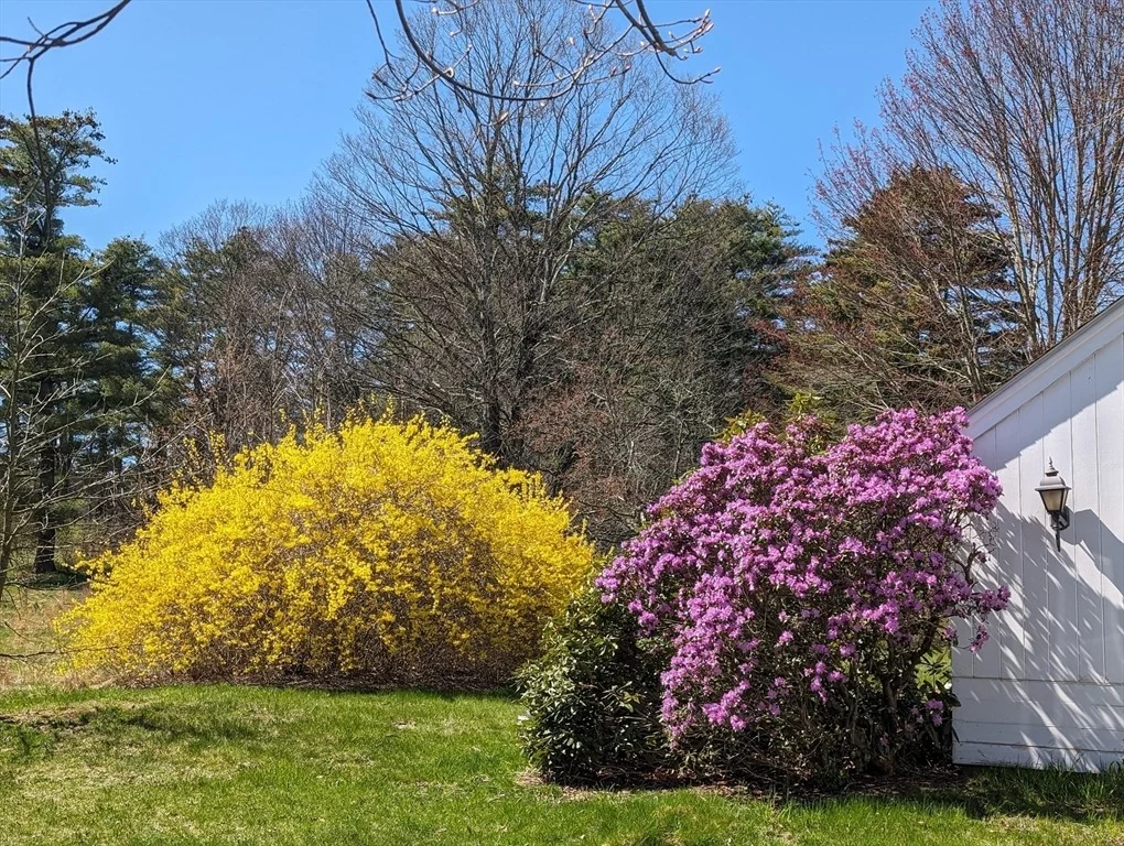 Photo of 504 Lampblack Rd