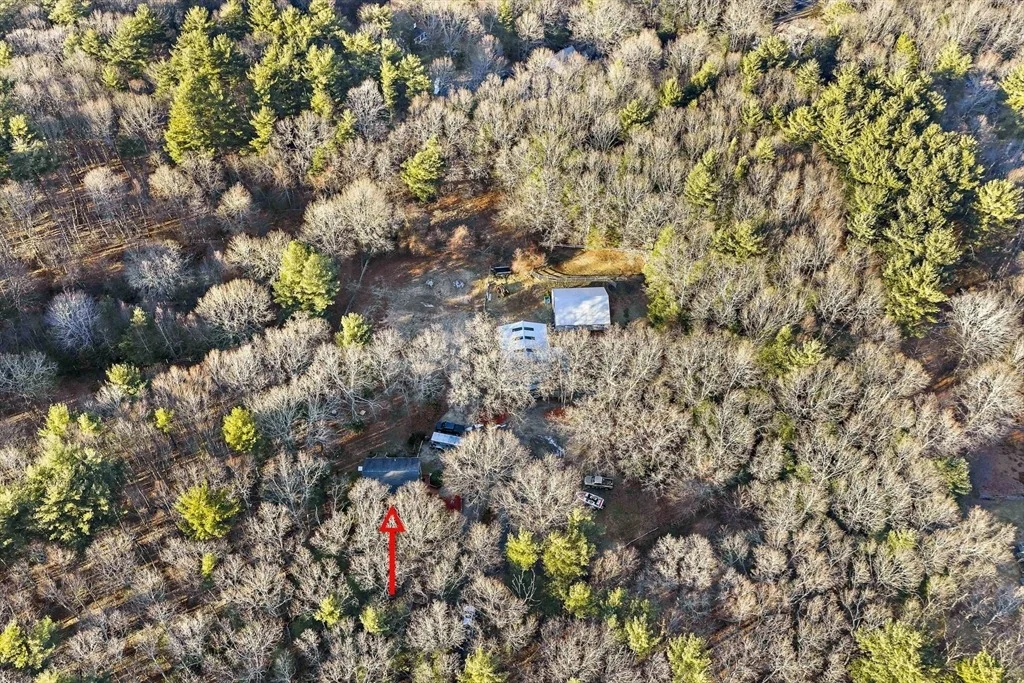 Photo of 15 Forest St
