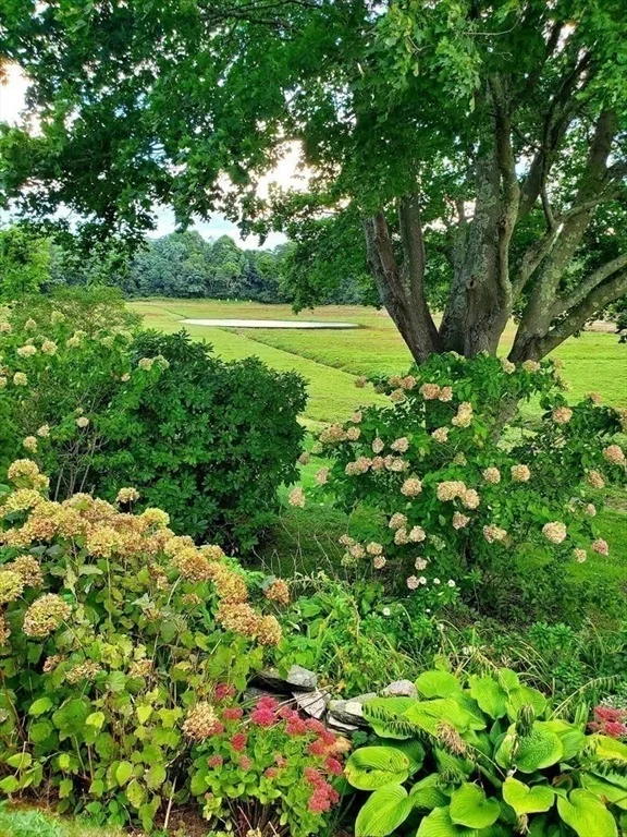 Photo of 78 Cotuit Rd