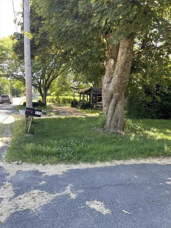 Photo of 239 River Road
