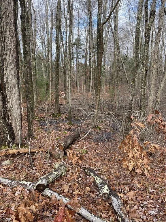 Photo of Lot 169-22 Beebe Rd