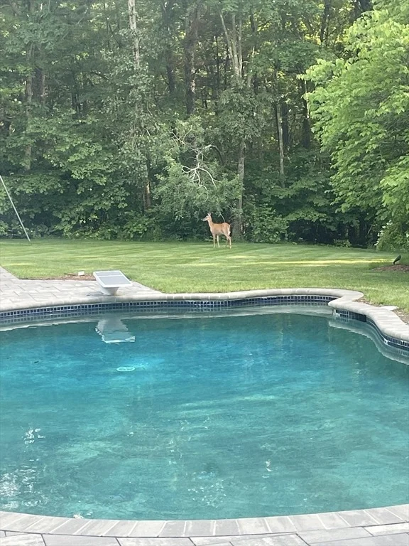 Photo of 18A South Shaker Road