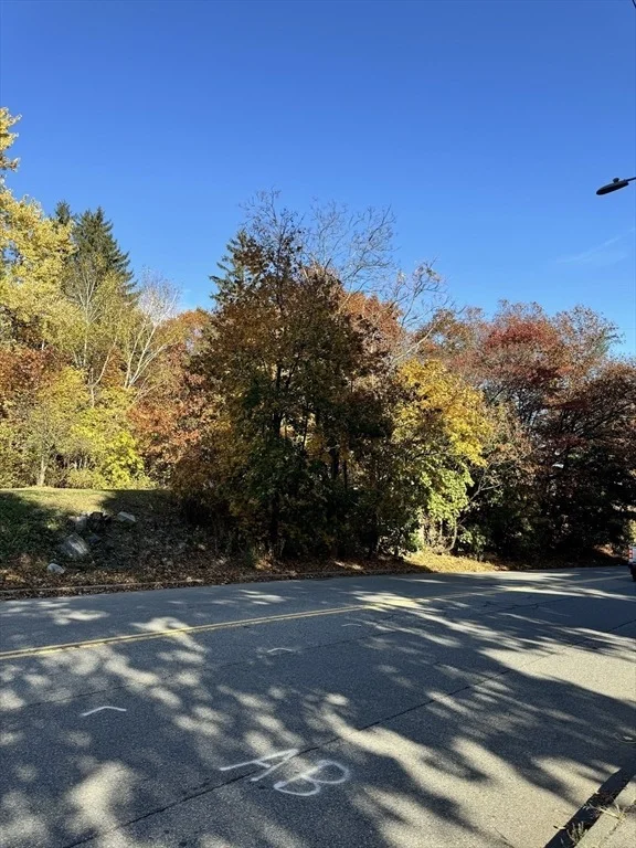Photo of 483 Sunderland Rd
