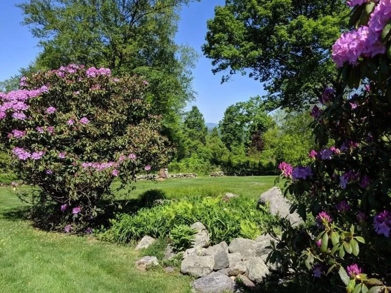 Photo of 787 Ridge Road