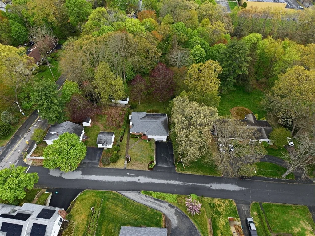 Photo of 1 Ayrshire