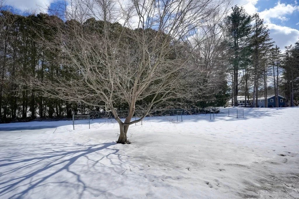 Photo of 36 Richardson Rd.