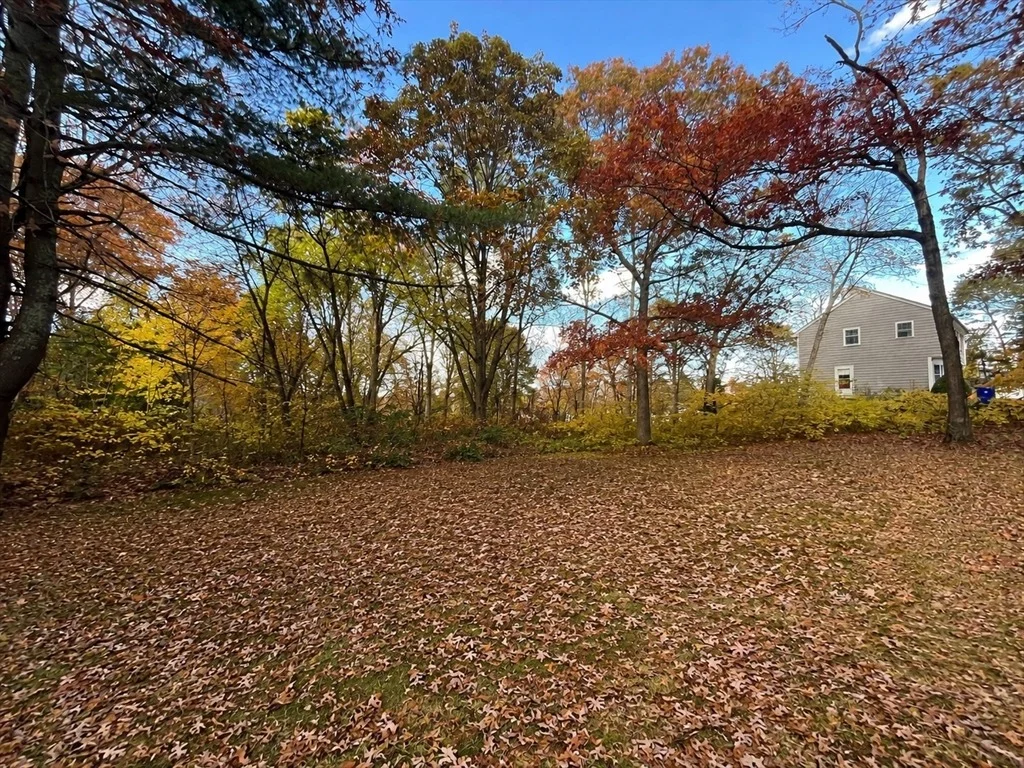 Photo of 75 Grant St