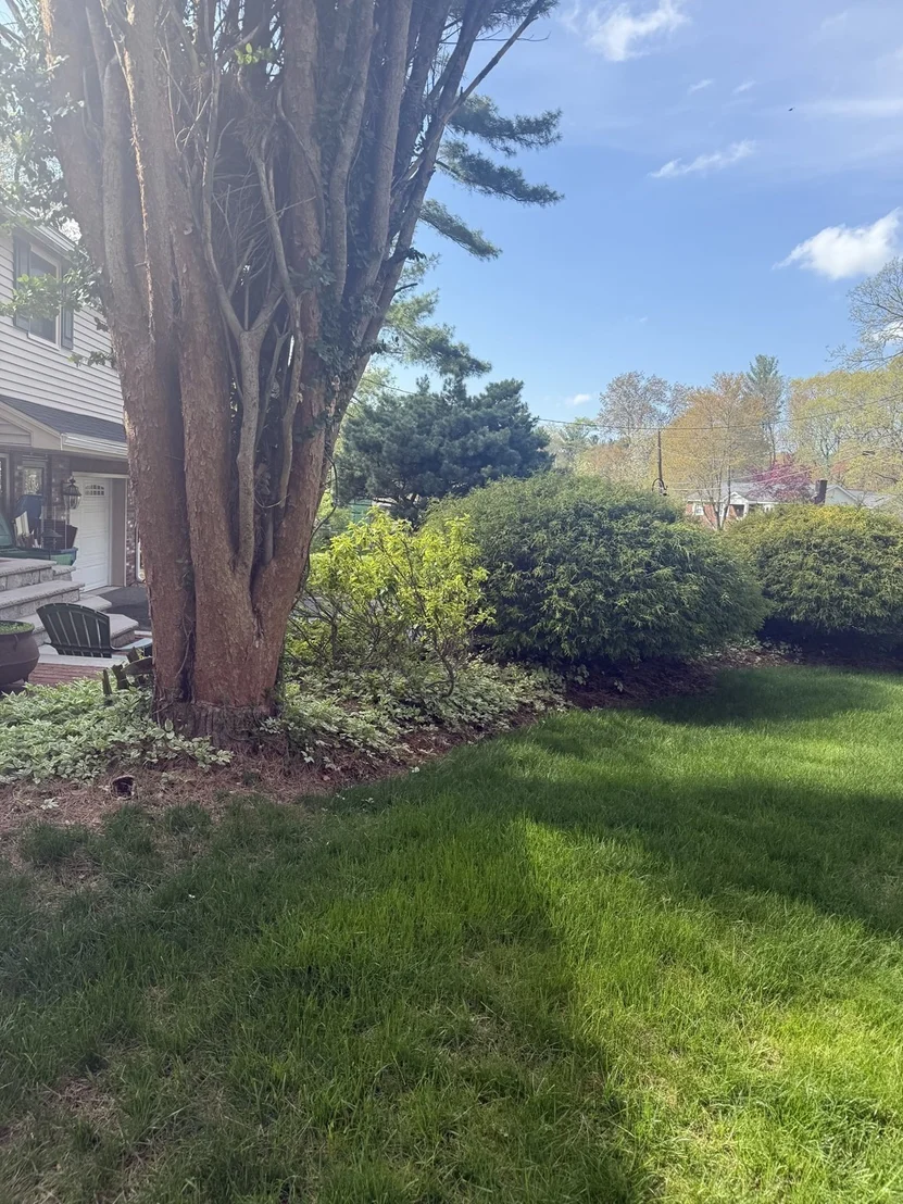 Photo of 42 Freeport Dr