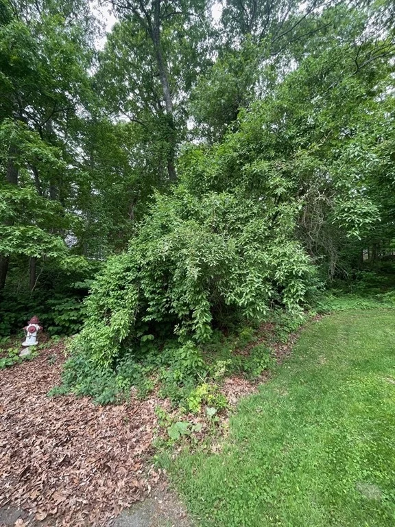 Photo of 0 Sion Street