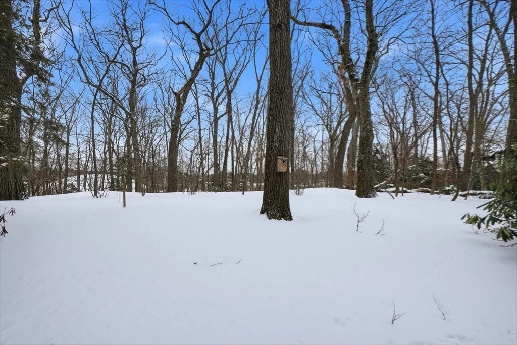 Photo of 7 Baskin Road