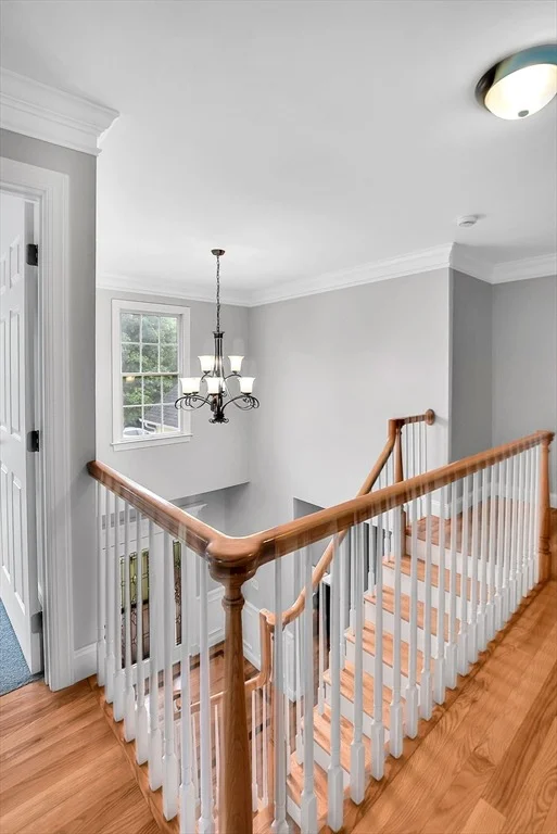 Photo of 7 Whitehall Way