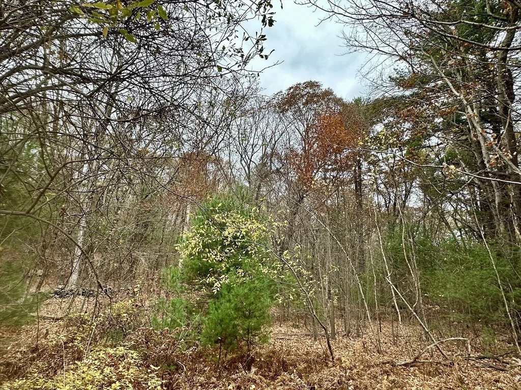 Photo of 191 Hartness Rd