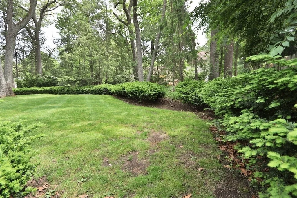Photo of 19 Pine Needle