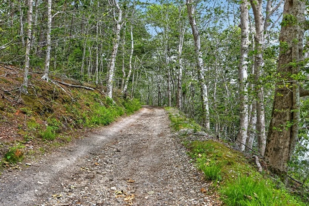 Photo of 20 Hirsch