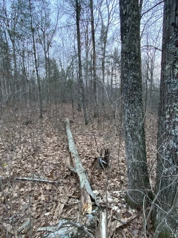 Photo of Lot 169-22 Beebe Rd