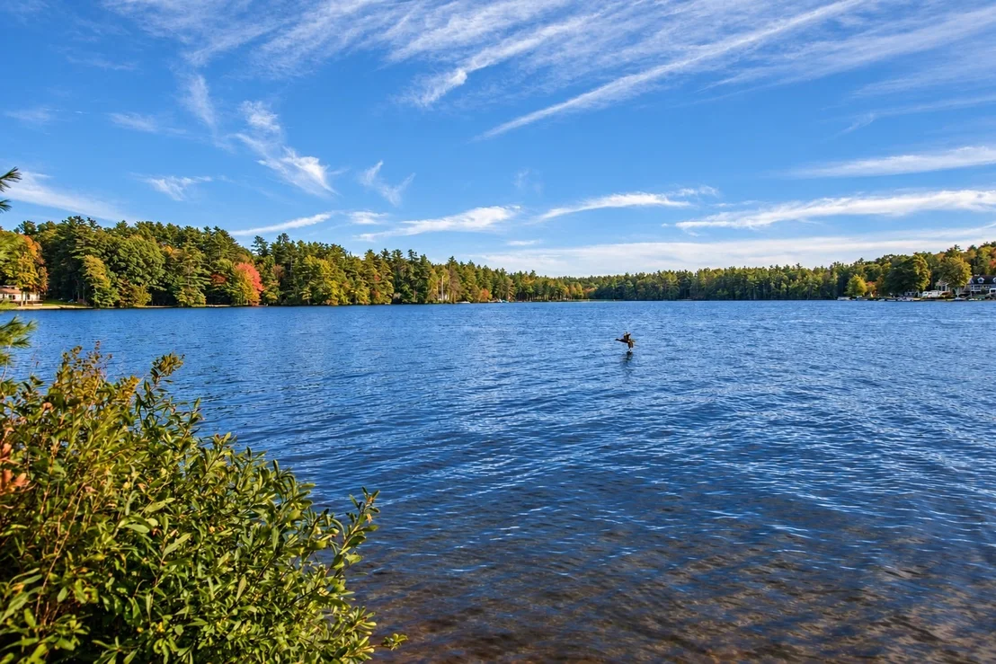Photo of 64 Lakeshore Dr