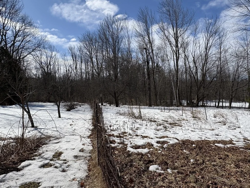 Photo of 419 Main Road