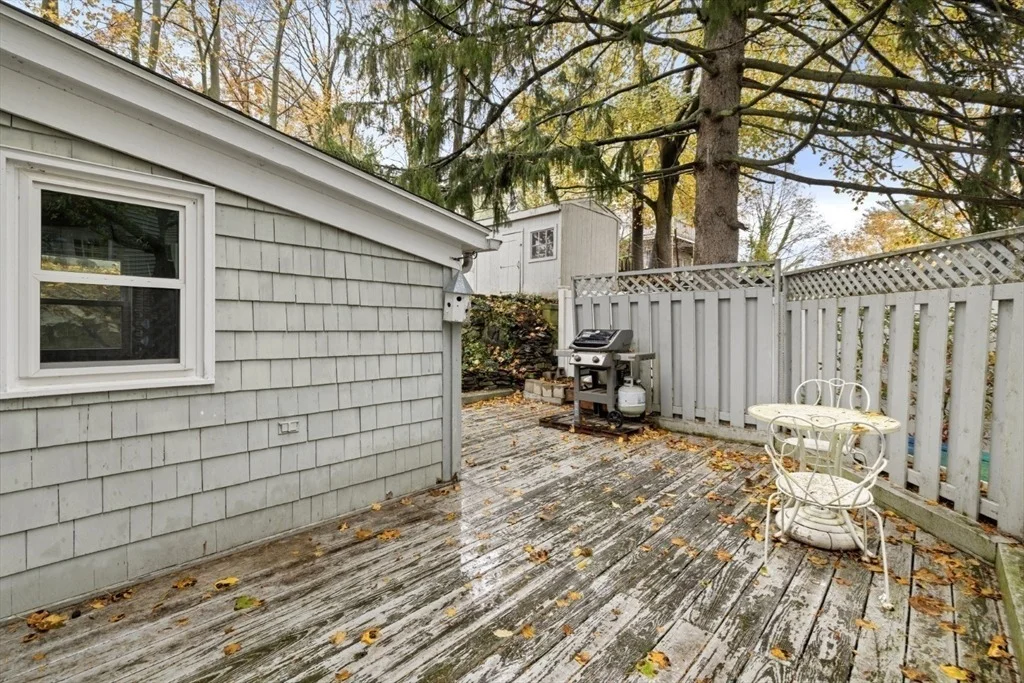 Photo of 17 Cliff St