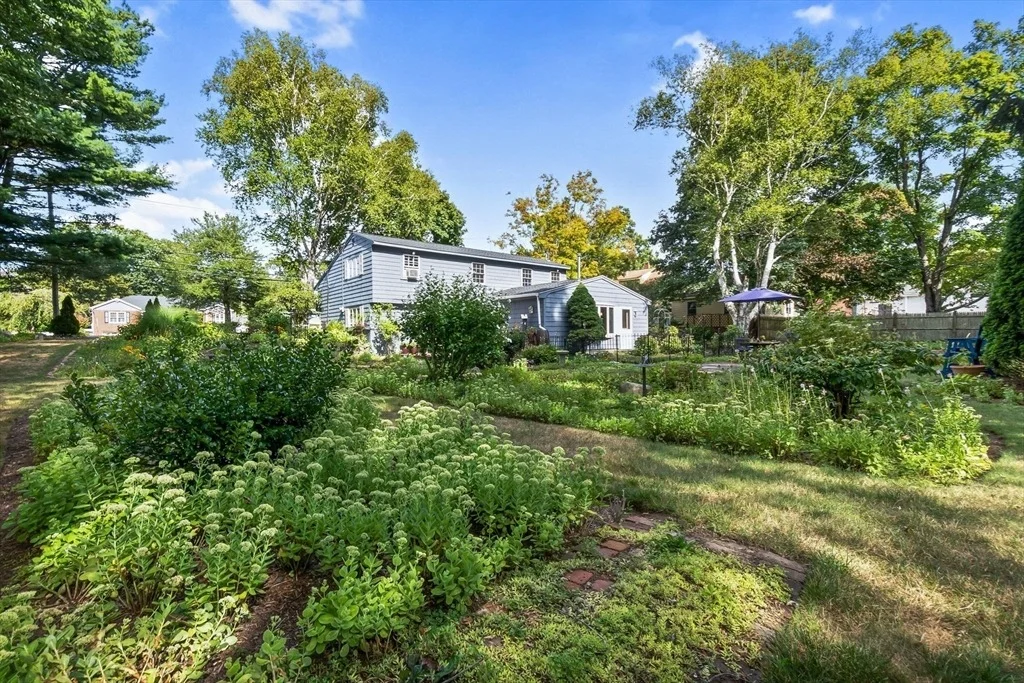Photo of 38 Pickering Street