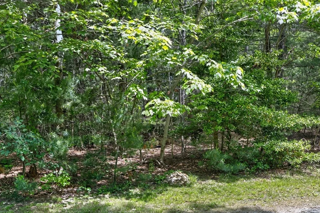 Photo of 20 Hirsch