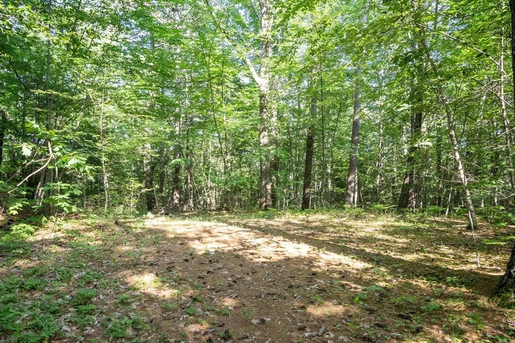 Photo of 0 Ward Hill Rd