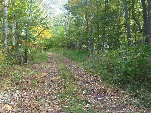 Photo of 3 Four Rod Way