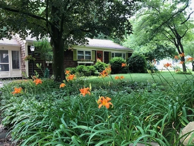 Photo of 12 Pine St