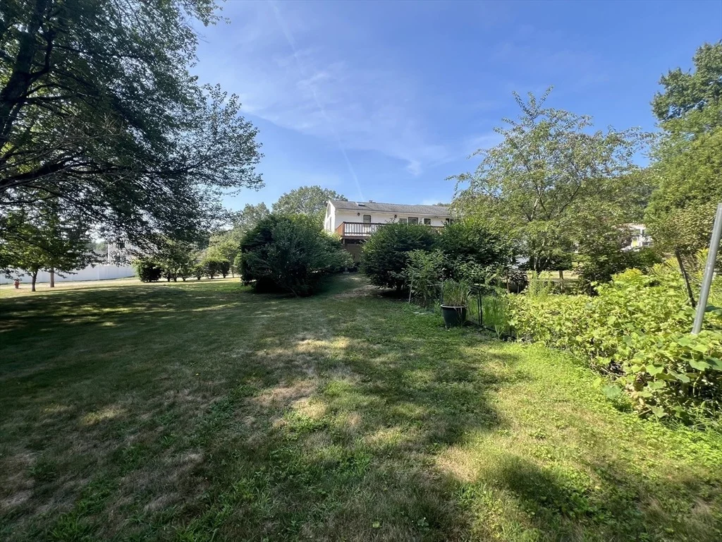 Photo of 29 Fredrickson Rd