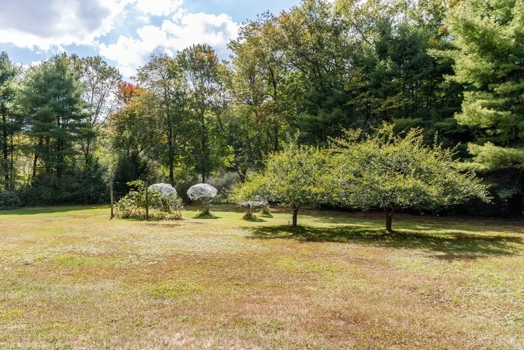 Photo of 260 East Road