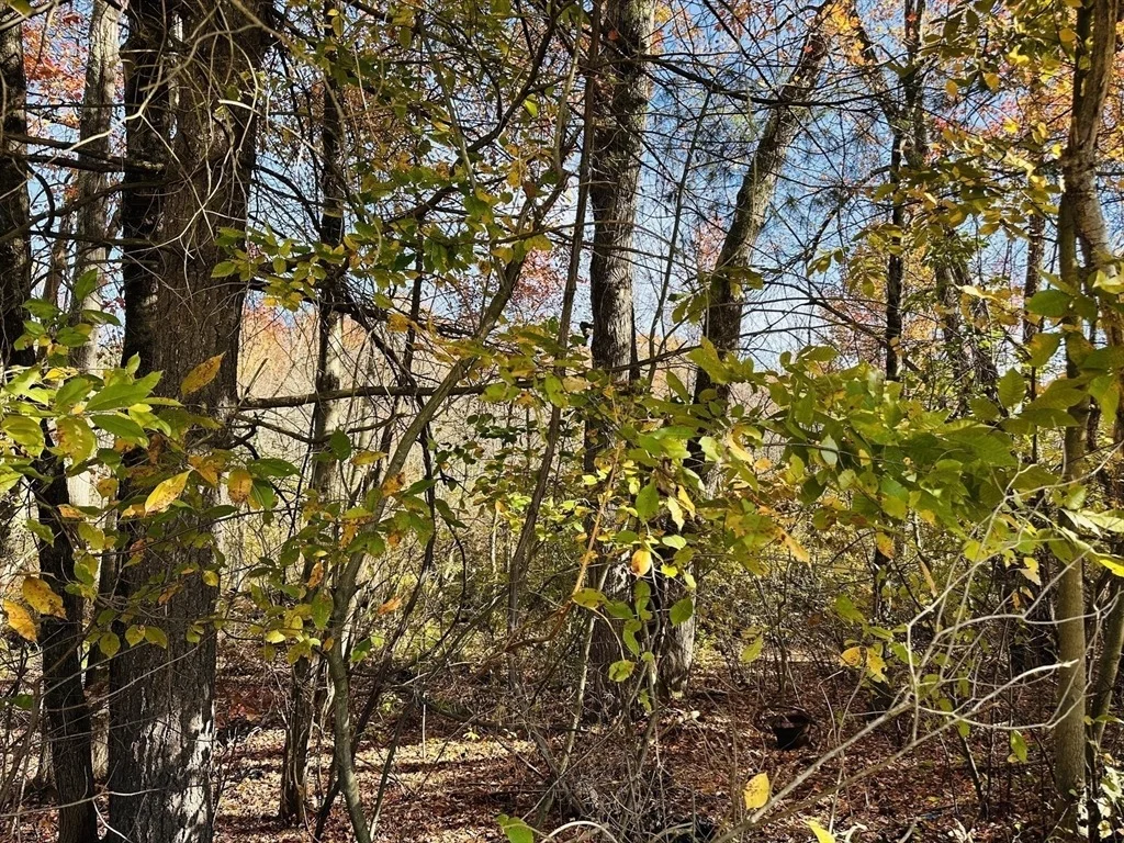 Photo of 16 Rita Ln