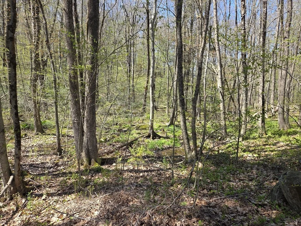 Photo of 0 Union Road