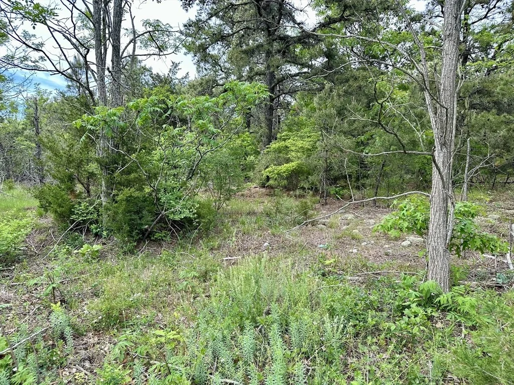 Photo of 12 Alexandra Dr