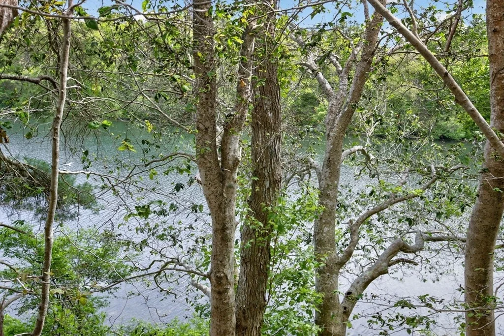 Photo of 20 Hirsch