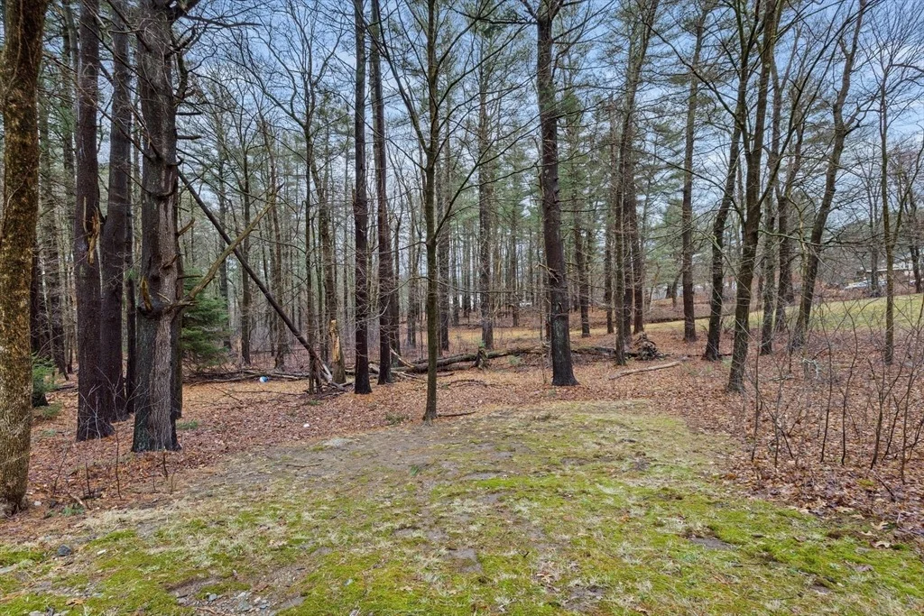 Photo of 58 Lakeview Rd