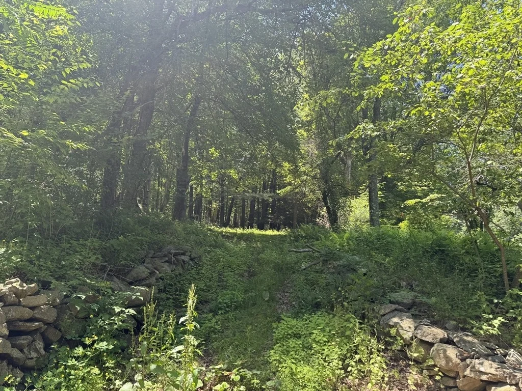 Photo of 87 Ayer Rd