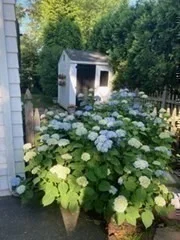 Photo of 5 Wilde Rd