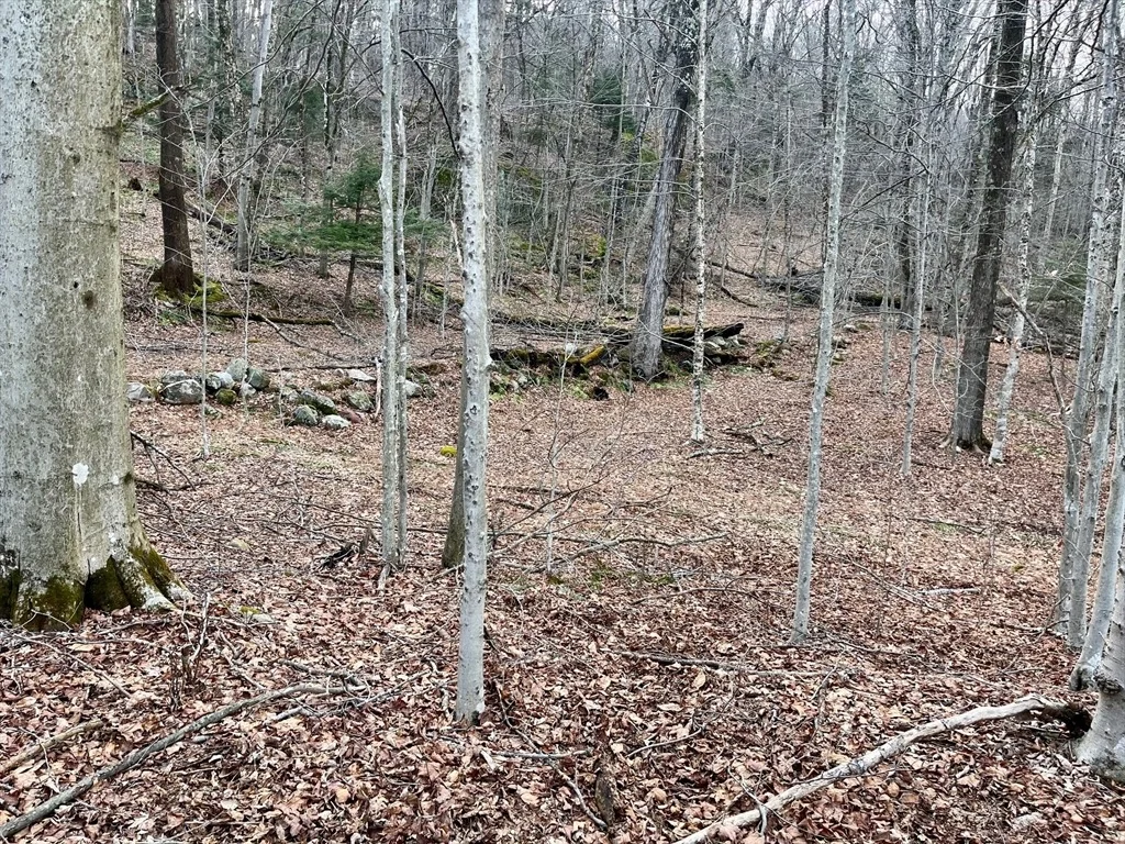 Photo of 0 Parish Road